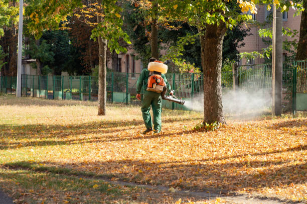 Insect Control in Rodeo, CA